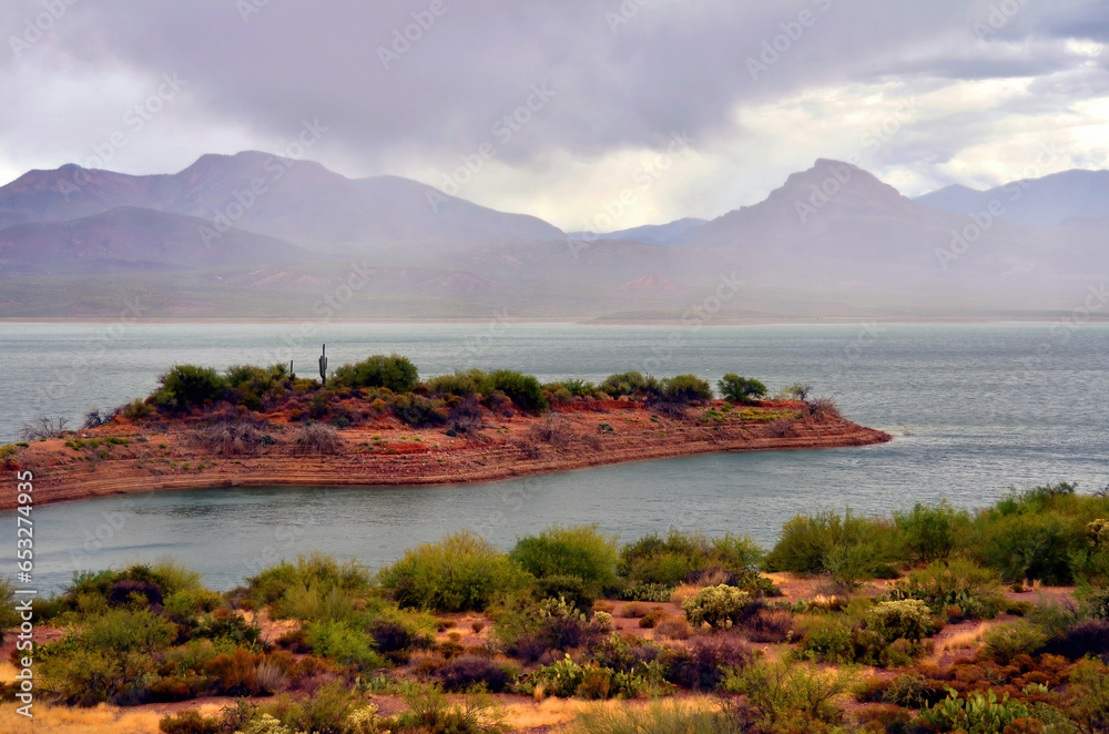 Fototapeta premium Roosevelt Lake Arizona