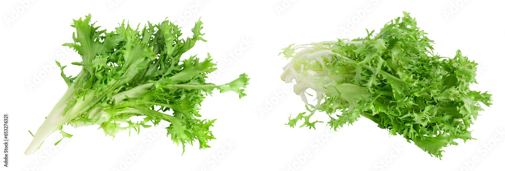 Fresh green leaves of endive frisee chicory salad isolated on white background with full depth of field. Top view. Flat lay - obrazy, fototapety, plakaty 