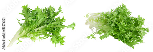 Fresh green leaves of endive frisee chicory salad isolated on white background with full depth of field. Top view. Flat lay