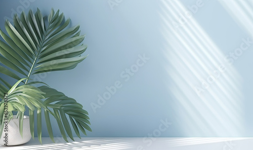 Against a blue wall, a palm tree in a white pot. © Lidok_L