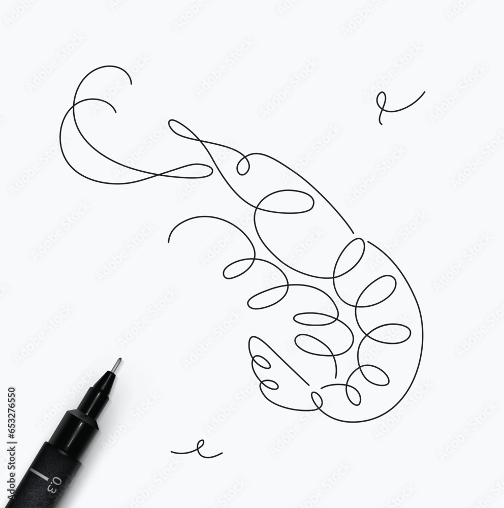 Shrimp sea creature drawing in pen line style on white background