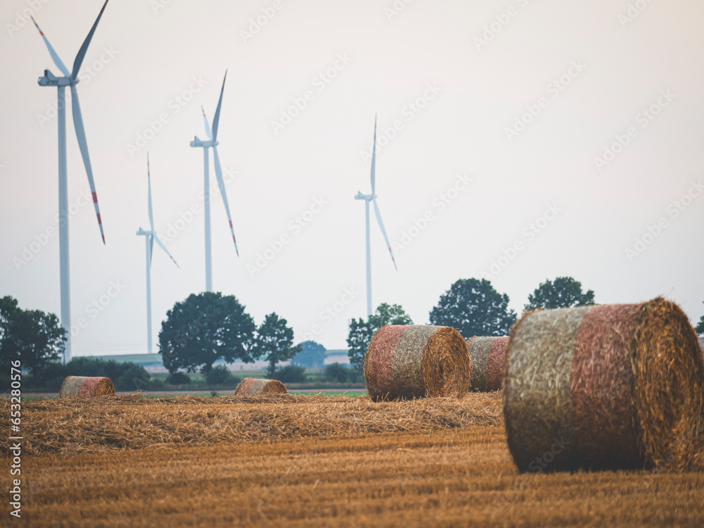 Baloty siana na polu z wiatrakami w tle. Hay bales in a field with windmills in the background.