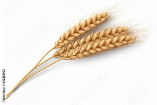 fresh quality wheat on a white background generative ai