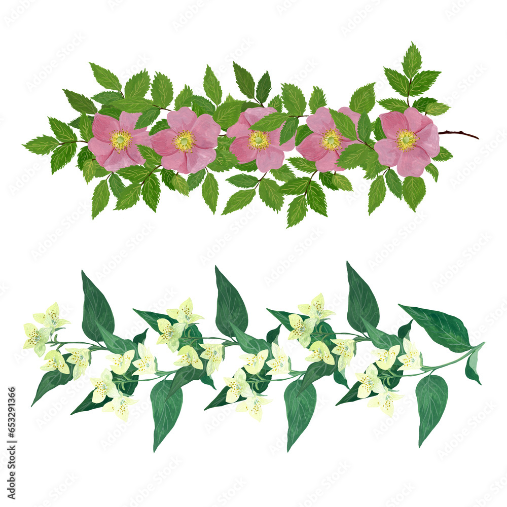 Obraz premium set of wild and garden flowers on a white background.