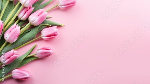 Tulip flowers on background and copyspace.