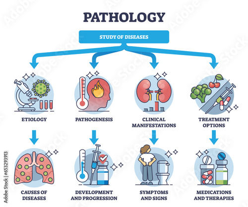 Pathology and study of diseases medical field classification outline diagram. Labeled educational scheme with etiology, pathogenesis, clinical manifestations and treatment options vector illustration