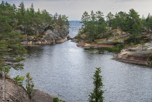 Autumn landscape. Stone coast of the bay, yellow tree, grass and stones on the shore. Pine forest on a stone shore. Overcast sky.