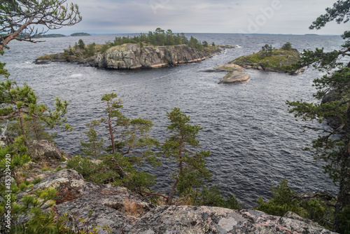 Autumn landscape. Stone coast of the bay, yellow tree, grass and stones on the shore. Pine forest on a stone shore. Overcast sky.