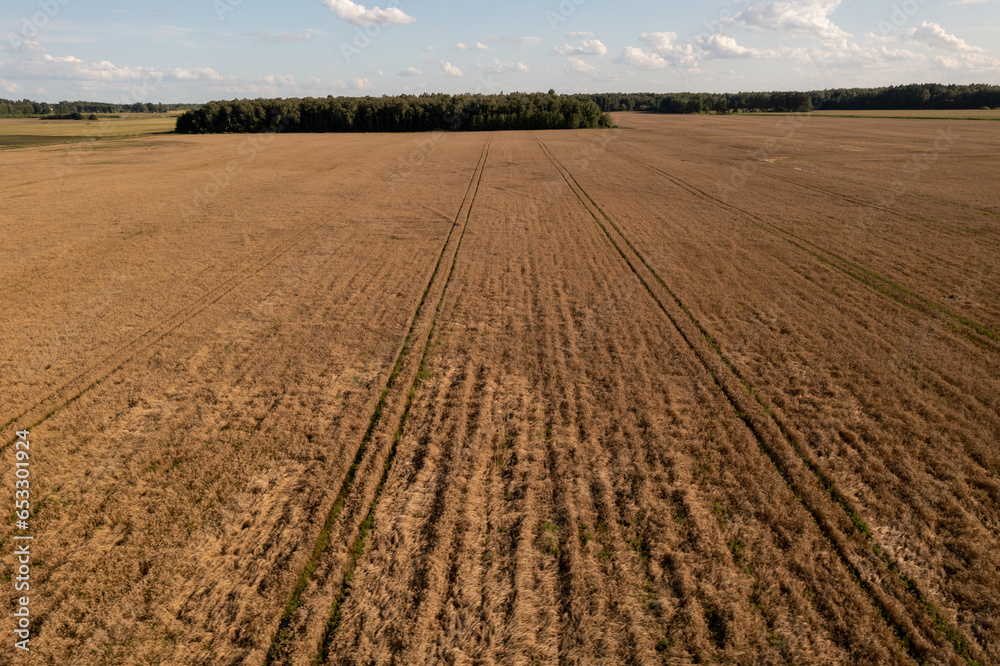 Drone photography of a meadow in fall time with tire tracks