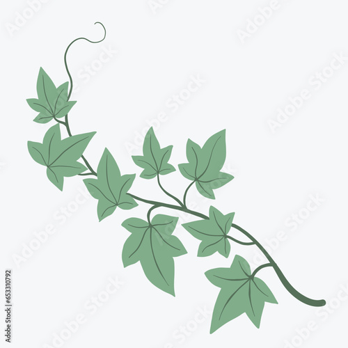 Floral ivy drawing decorative ornament flat design.