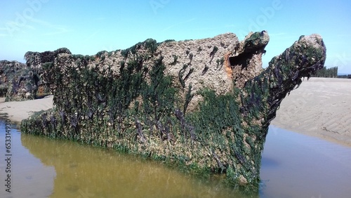 Epave du chalutier anglais Lord Grey échoué sur la plage de Tardinghen au bord de La Manche, côte d'opale dans le Pas-de-Calais France Europe photo