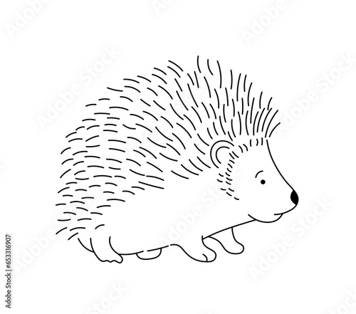 Vector isolated one single cute cartoon hedgehog with needles side view colorless black and white contour line easy drawing