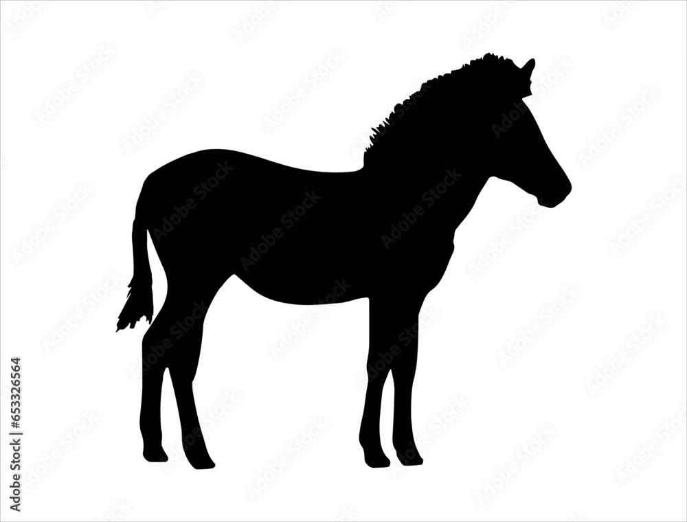 Obraz premium Zebra silhouette vector art white background