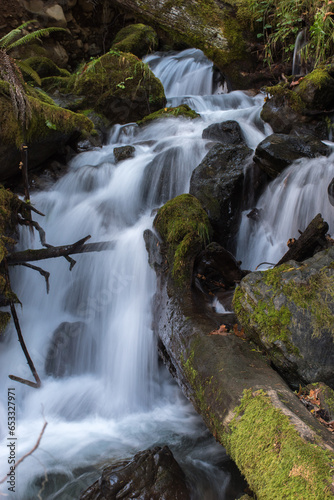 Autumn Waterfall in Olympic National Forest