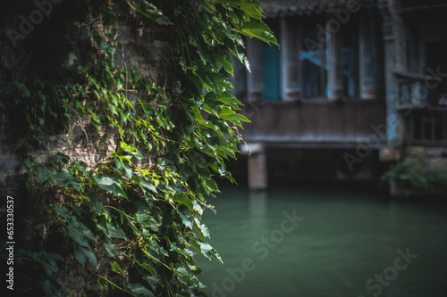 bridge in the river