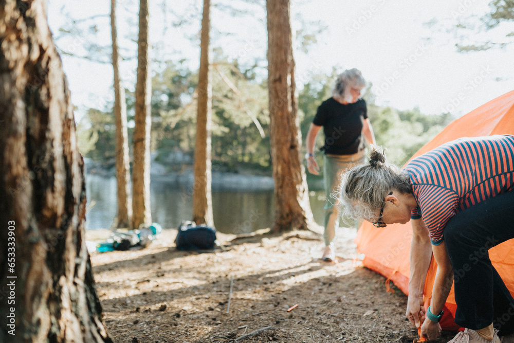 Two senior women setting up tent at campsite at lakeshore Two senior women setting up tent at campsite at lakeshore