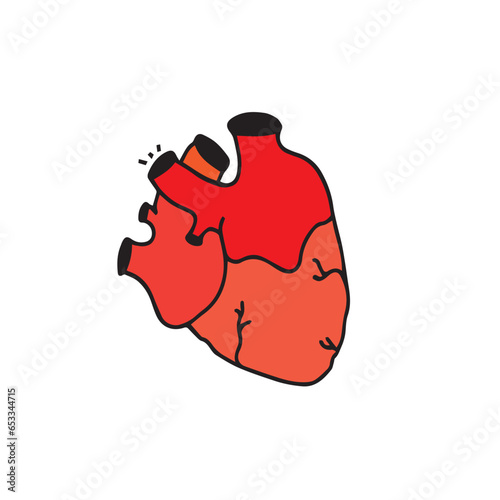 realistic vector isolated human heart.Human Heart Isolated. Human Red Heart Isolated White Background. 