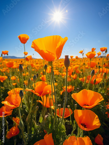 A field of California poppies captured in photorealistic detail, strong vibrant orange, golden hour lighting