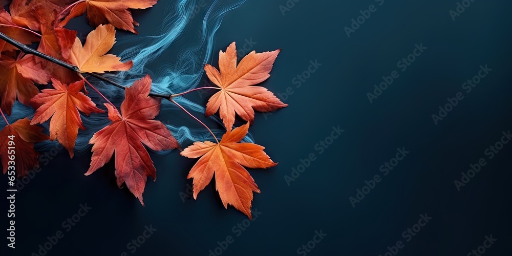 Autumn symphony. Nature colorful overture. Vibrant fall palette. Leaves in october splendor. Golden days of november. Foliage in sunlight. Burst of nature beauty Autumn symphony. Nature colorful overture. Vibrant fall palette. Leaves in october splendor. Golden days of november. Foliage in sunlight. Burst of nature beauty