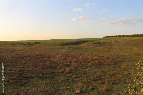 A field of grass with Konza Prairie Natural Area in the background