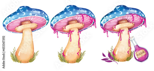 Set of watercolor mystical magic mushrooms. Celestial fungi. Witchy elements