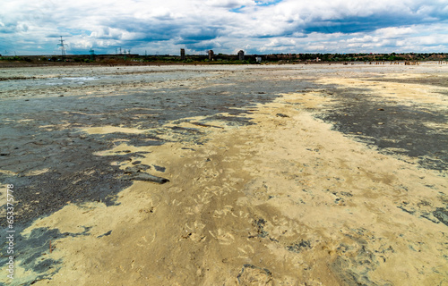 Yellow eggs of the crustaceans Artemia salina on the bank of the drying Kuyalnik estuary photo