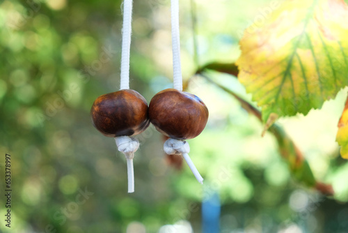 Tableau sur toile Pair of conkers with string, close-up