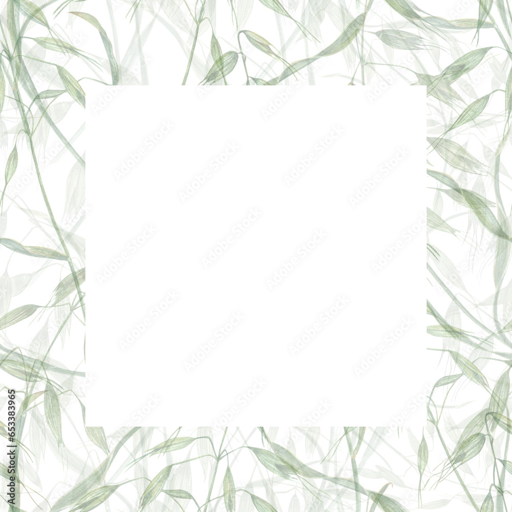 Delicate frame of wild oats. Meadow herbs, avena, spikelet, grass. Watercolor illustration of wild plants. Summer composition. For greeting, invitation template, celebration cards. Space for text