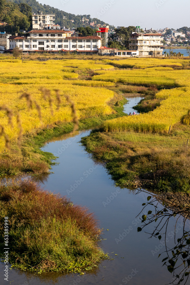 Fototapeta premium landscape with river and houses