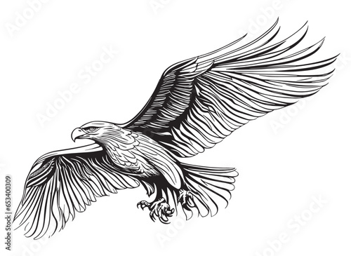 Flying Eagle, white background