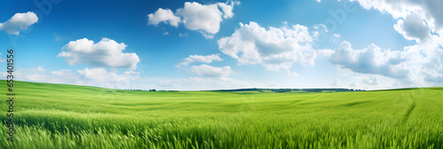 Beautiful natural scenic panorama green field of cut grass into and blue sky with clouds on horizon. Perfect green lawn on summer sunny day