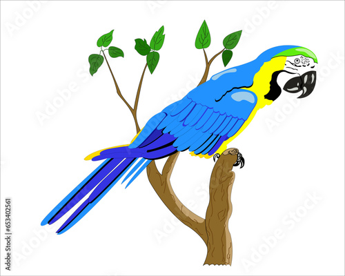 A tropical parrot sits on a tree