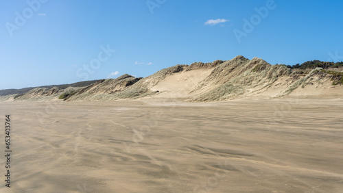 Dunes at 90 Mile Beach  New Zealand  lonely and empty Beach