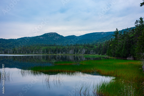 Pond in Acadia National Park. Picture taken on cloudy summer day. © Adam