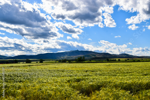 Mountain peak lanscape after the green barley fields on a sunny day in springtime