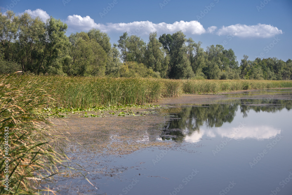 Landscape and waterways of Zasavica, natural resort Landscape and waterways of Zasavica, natural resort