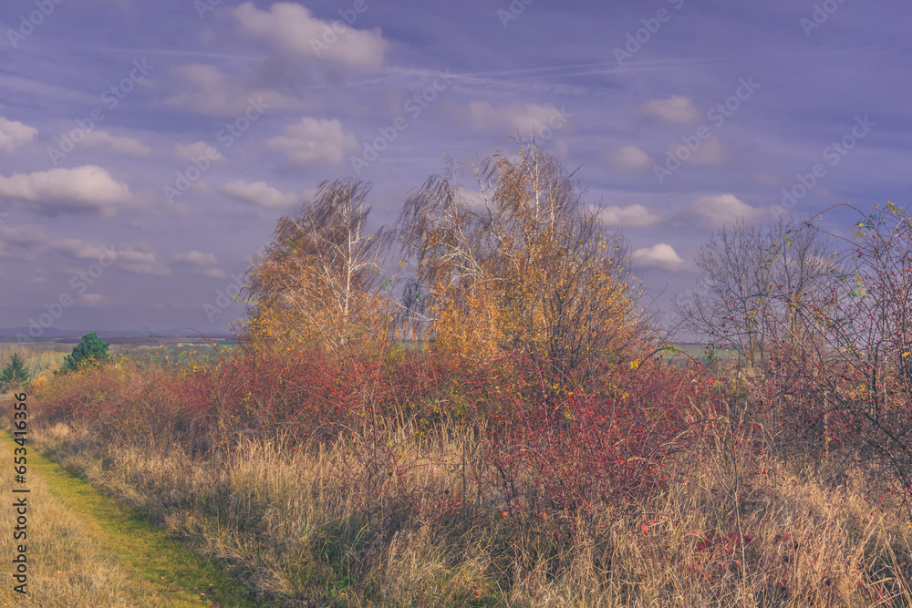 colorful autumnal magic atmosphere in the nature
