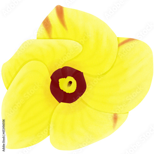 Yellow flower 