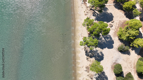 Aerial drone photo of rare pine tree sandy turquoise beach in Mediterranean destination island