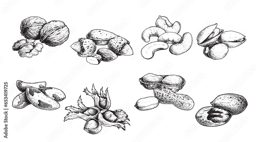 Different nuts set. Sketch style hand drawn nuts with nutshells. Walnut, pistachio, cashew, almond, peanut, hazelnut, Brazil nut and pecan. Vector illustrations. Organic food. Different nuts set. Sketch style hand drawn nuts with nutshells. Walnut, pistachio, cashew, almond, peanut, hazelnut, Brazil nut and pecan. Vector illustrations. Organic food.