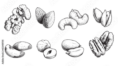 Different nuts set. Sketch style hand drawn seeds. Walnut, pistachio, cashew, almond, peanut, hazelnut, Brazil nut and pecan. Vector illustrations. Organic food.