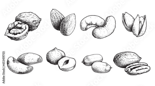 Different nuts set. Sketch style hand drawn nuts with nutshells. Walnut, pistachio, cashew, almond, peanut, hazelnut, Brazil nut and pecan. Vector illustrations. Organic food.