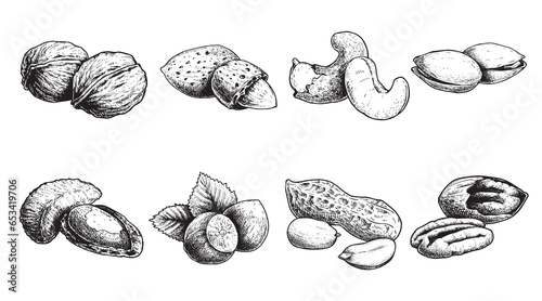 Different nuts set. Sketch style hand drawn nuts with nutshells. Walnut, pistachio, cashew, almond, peanut, hazelnut, Brazil nut and pecan. Vector illustrations. Organic food.