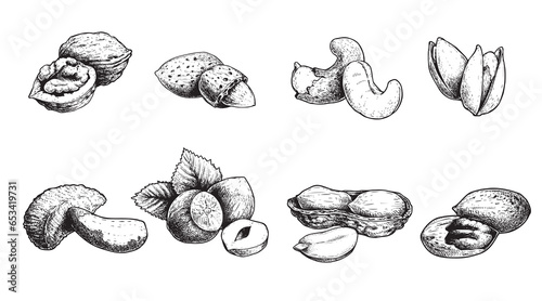 Different nuts set. Sketch style hand drawn nuts with nutshells. Walnut, pistachio, cashew, almond, peanut, hazelnut, Brazil nut and pecan. Vector illustrations. Organic food.