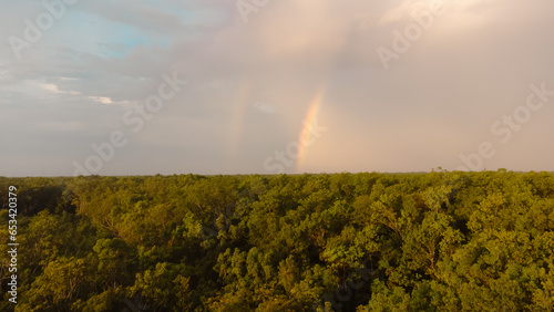 Amanecer en selva y bosque de la riviera maya con arcoíris en México.