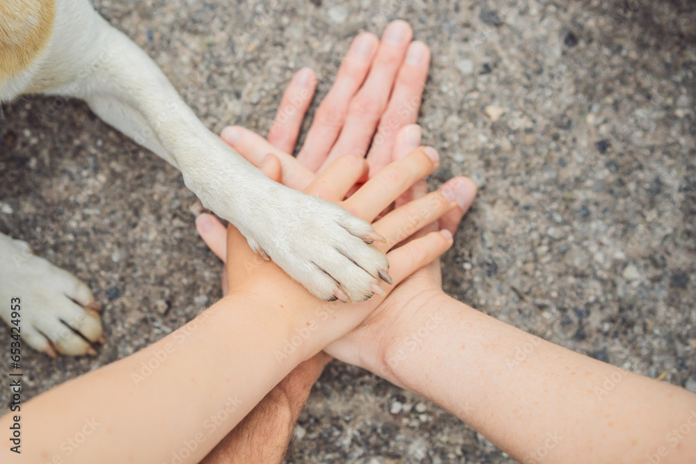 Human hands and dog paw as a team. Fight for animal rights, help animals