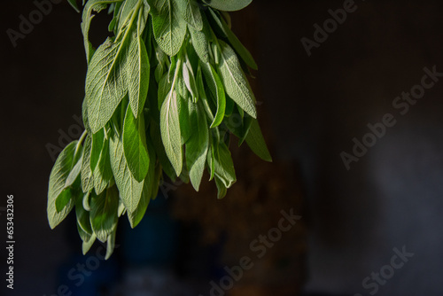 Bunch of green nettle hanging on the brown wooden background. Herbs natural medicine. Copy space. Vertical image