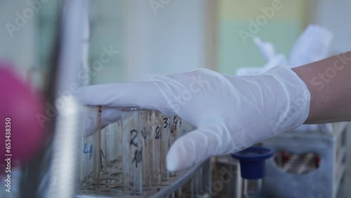 Blood test tubes. Senior female scientist examining blood test tubes at her laboratory dna testing