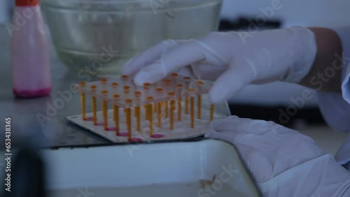 Blood test tubes. Senior female scientist examining blood test tubes at her laboratory dna testing