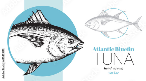 Seafood banner with hand drawn tuna fish. Sketch style marine designs template. Best for restaurant menu, seafood market designs. Vector illustration.